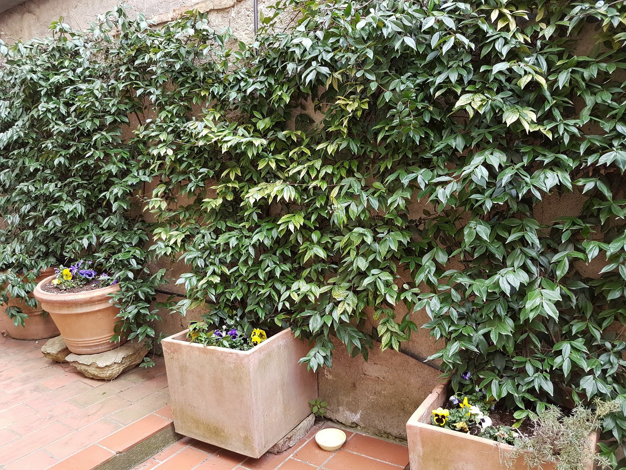 Ferienwohnung Casa Bardi San Gimignano Exterior foto
